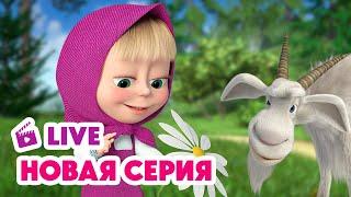  ПРЯМОЙ ЭФИР! LIVE Маша и Медведь НОВАЯ СЕРИЯ  Любит-не любит 