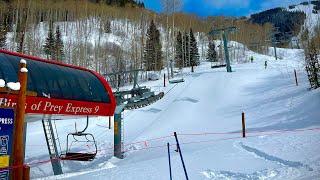 Beaver Creek Birds of Prey Express 9