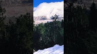 Mount Shasta