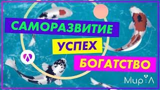 Социальная сеть Мир: Л Саморазвитие. Успех. Богатство.