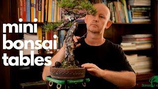 Green T Mini Bonsai Turntables