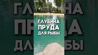 Какая глубина должна быть в пруду для рыбы?