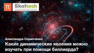 Теория динамических систем — Александра Скрипченко