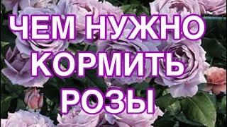 ТОП - 5 ЛУЧШИХ УДОБРЕНИЙ ДЛЯ РОЗ! ЧЕМ НУЖНО КОРМИТЬ РОЗЫ И ГОРТЕНЗИИ. ЛУЧШИЕ РЕЦЕПТЫ.