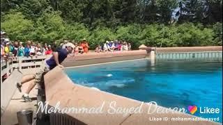 Islamic video part 222 