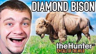 Hunting Down a RARE Diamond Bison!