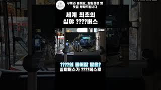 세계 최초 심야 ????버스