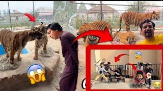 Five Tigers kiss Challenge  Mamu Ko Dea VS mamu ke sath bahut bura prank Ho Gaya