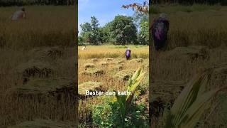 Adivasi  Bastar #song cg Sanju you Tuber