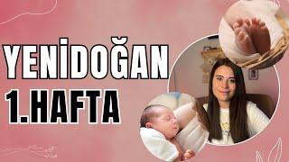 Yenidoğan 1. Hafta I 1 Haftalık Bebek Gelişimi