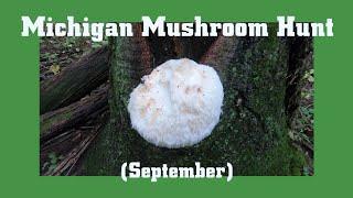 Michigan Mushroom Hunt in September