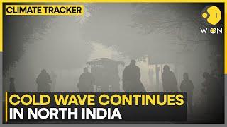 Delhi's Air Quality Remains 'Severe' | WION Climate Tracker