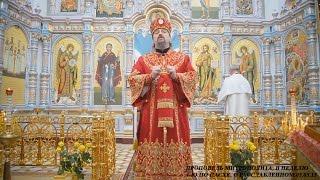 Проповедь Митрополита, в Неделю 4-ю по Пасхе, о расслабленном.03.05.15
