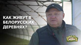 Заработал состояние на клюкве в Беларуси! «Я из деревни». Фермерское хозяйство в д. Зеленый Бор