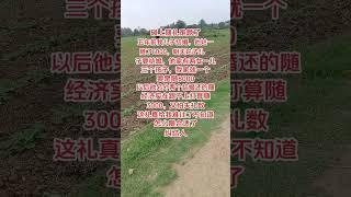 #勞動者是最美的人 #農民種地不容易面朝黃土背朝天 #農村生活 #隨禮那點事 #田間地頭走一走