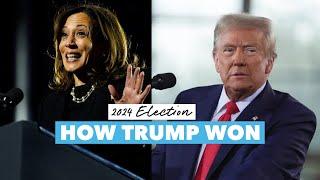 2024 Election: How Donald Trump Won & Kamala Harris Lost