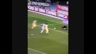 Chievo-Juventus - - - Gol annullato a paloschi