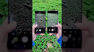 https://youtube.com/shorts/1fMhMhK1Z0E?si=eoCpthTznbFw5mYo
