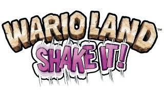 Disturbing Tomb - Wario Land: Shake It! Music Extended