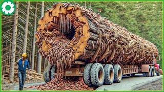 Extreme Dangerous Big Logging Wood Truck Driving Skill | Biggest Heavy Machinery Machines #8