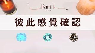 彼此感覺確認Part 1「無時間限制」｜塔羅占卜+占卜小物｜Ora Tarot