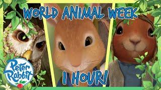 @OfficialPeterRabbit -  1 Hour Animal Week Special ️ | Cartoons for Kids