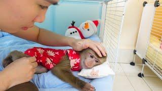 Mom helps monkey Pupu relieve stress