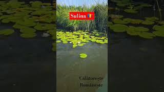 Sulina  #curiozitati #istorie #turism #fyp #trending #calatorie #romania #sulina #dunare #tulcea