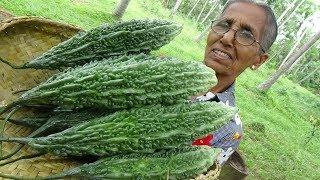 Bitter Gourd Masala Curry  Healthy Village Food by Grandma | Village Life