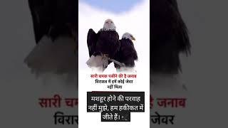 https://youtube.com/@trending_meena_todabhim_00