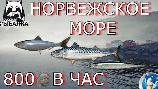 НОРВЕЖСКОЕ МОРЕФАРМ НА МЕЛКОЙ РЫБЕРусская Рыбалка 4(РР4)