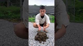 funny videos you shouldn't miss #funny #cute #woodcraft #comedy