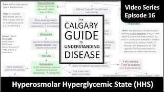 Hyperosmolar Hyperglycemic State (HHS)