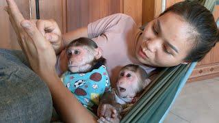 Cute Mimi Kuku duo napping in the hammock with Mom