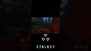 ️ ПОИСКИ РЕСУРСОВ И РЕМОНТ ОРУЖИЯ! | TRUE STALKER —  #shorts