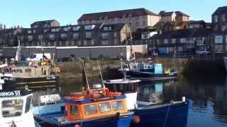 Seahouses 1