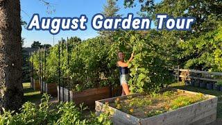 Full Vegetable Garden Tour - August 2024 - Michigan Zone 6a