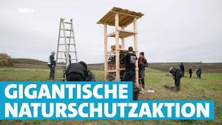 Gemeinsam für die Natur: Freiwillige schaffen neue Biotope für heimische Arten