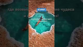 #египет2024 #египетшармэльшейх #фестиваль