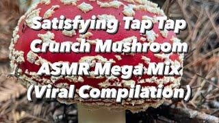 Satisfying Tap Tap Crunch Mushroom ASMR Mega Mix (Viral Compilation)