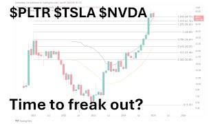 $PLTR $TSLA $NVDA: Time to freak out?