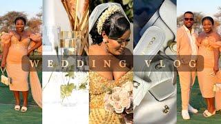 WEDDING VLOG || NDEBELE TRADITIONAL WEDDING || FRIEND'S WEDDING || IDWENDWE LOMNGANI WESBHAKELA