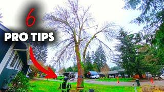 6 Residential Tree Falling Tips You MUST Consider!