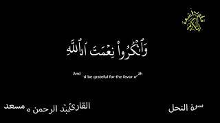 سورة النحل  كرومات شاشة سوداء  القران الكريم  قلوب خاشعة القارئ عبد الرحمن مسعد
