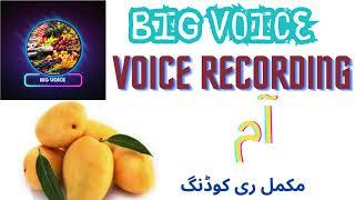 Mango (Aam) Bechne Ki Awaz  | Big voice