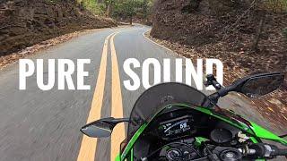 Pure Sound of Kawasaki ZX10R with SC Project SC1R | Twisties