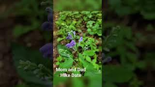 Mom and Dad Hike Date