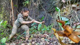 50 days of survival in the wild, snake and stream fish catching skills, wild survival alone