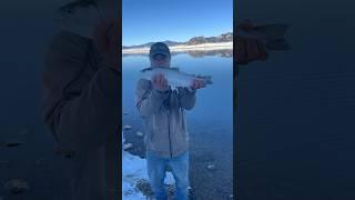 Here Is Seven Fishing At Beautiful 11 Mile Reservoir: Lake George, Colorado: #fishing #shorts #fun