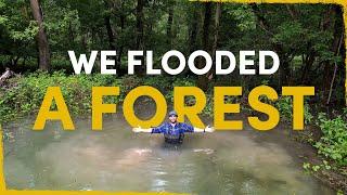 We flooded a forest - the result blew our minds